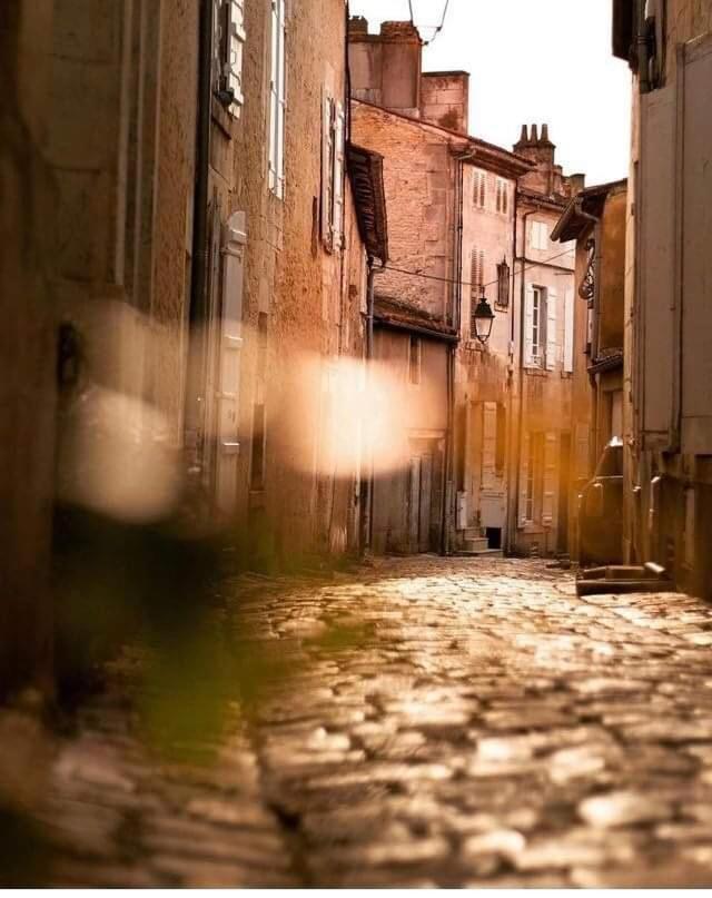 Le Douillet #Centre Ville #100M Des Quais Cognac Dış mekan fotoğraf